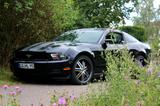 Ford Mustang - Ford Mustang aus 2010 mit Benzin-Antrieb: Coupé