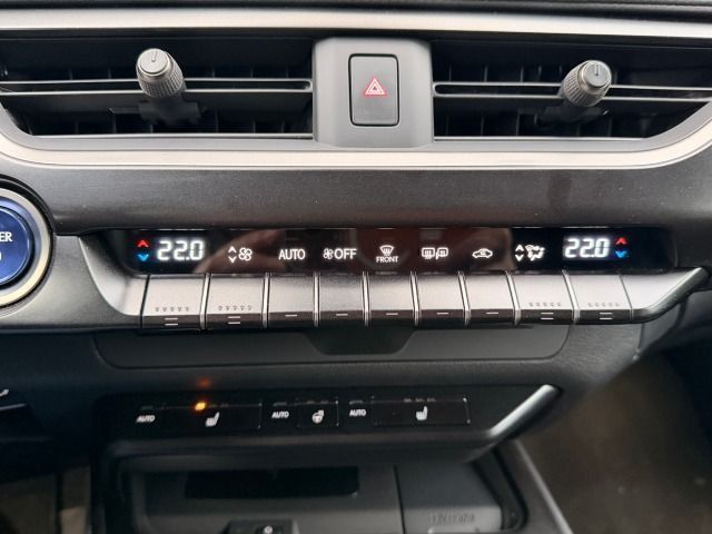 Fahrzeugabbildung Lexus UX 250h Style Edition Navi*Winterpaket*PDC*8fach