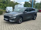 Ford Kuga ST-Line X Panorama Technologie Paket Winter - Ford Kuga Jahreswagen