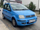Fiat Panda 1.2 TÜV bis 2027 Top Zustand  - Fiat Panda mit Schiebedach