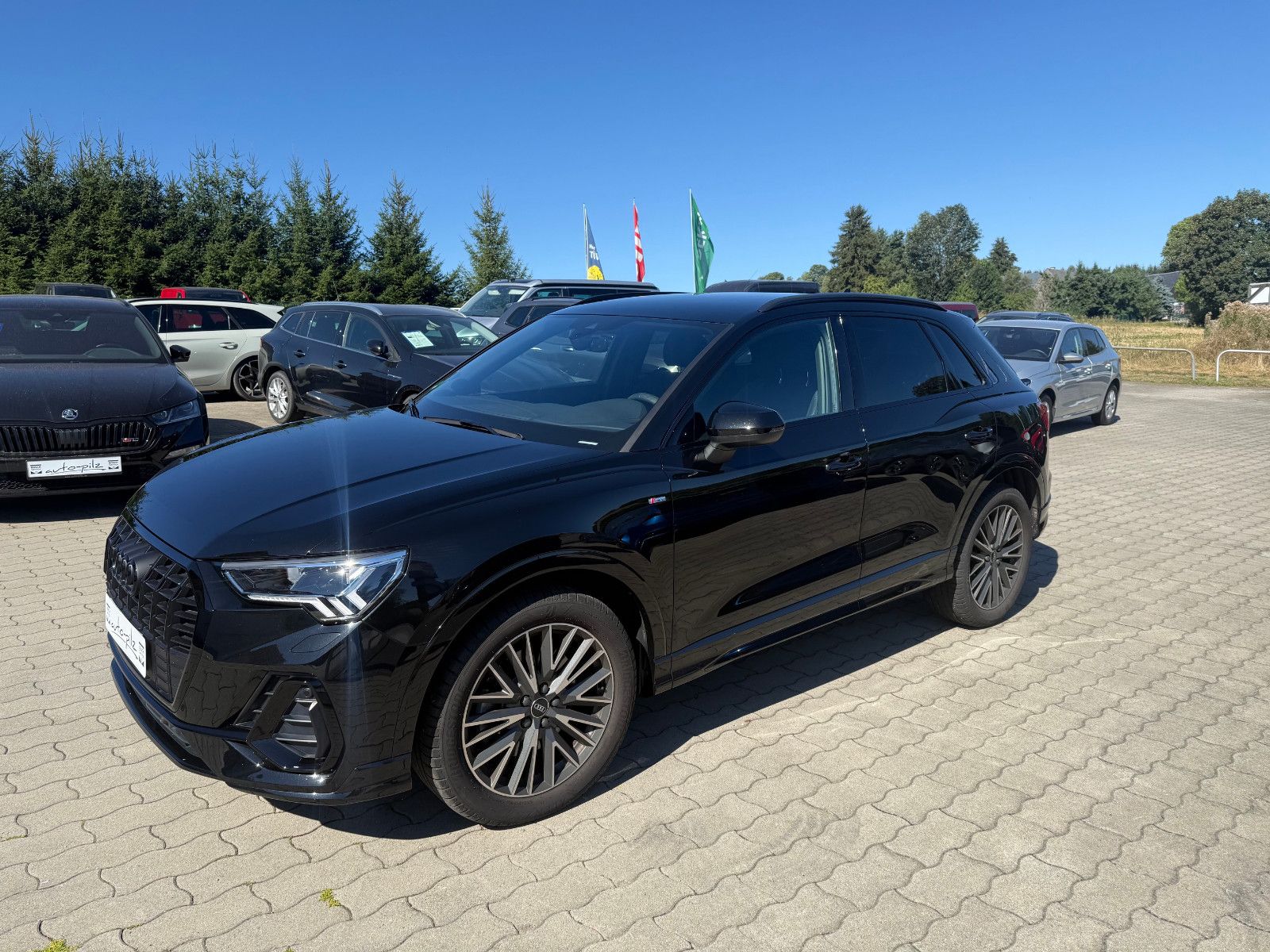 Audi Q3 40 TDI quattro S line AHZV  Standheizung imagem 3