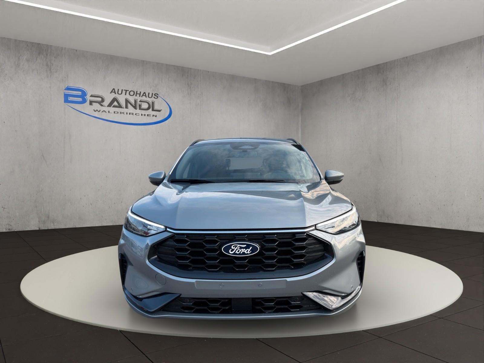 Ford Kuga 1.5 EcoBoost ST-Line Aut.*Winter-Paket