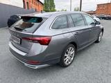 Skoda Octavia Combi Scout 4x4 LED/ACC/Canton/Kamera - Skoda: Combi Scout