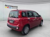 Fiat Panda Pop 1.0*KLIMA*PDC*RADIO*BLUETOOTH* - Fiat Panda: Rot