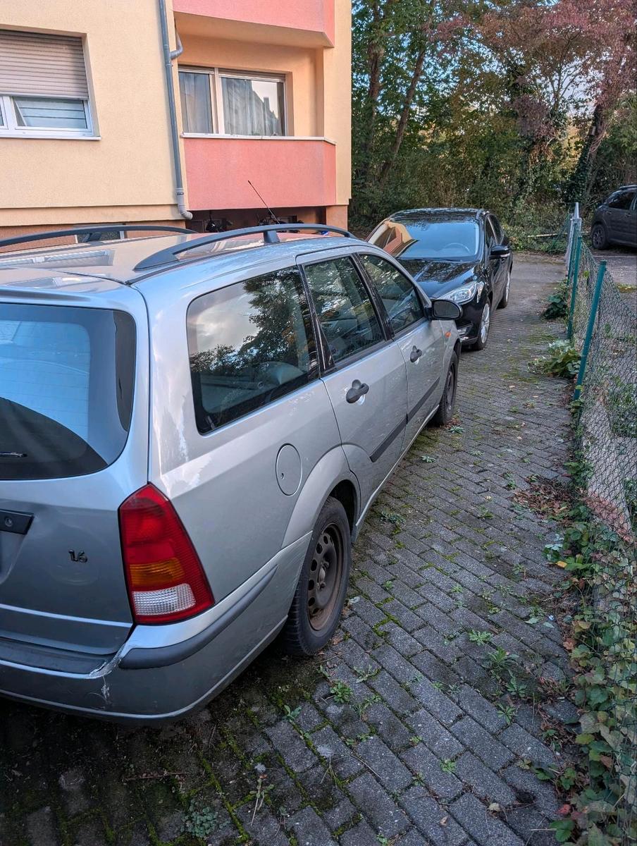 Ford Focus 2004 — rear view