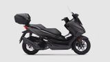 Honda Forza 125 Special Edition (MJ2025) - Offers matching your search criteria