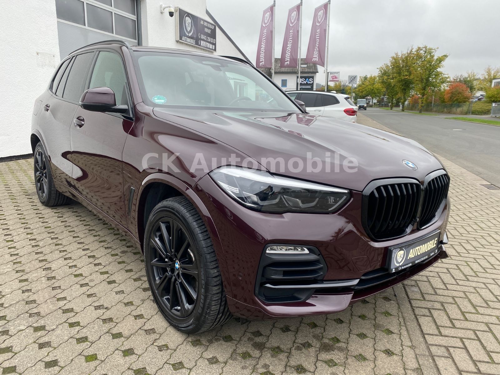 Fahrzeugabbildung BMW X5 xDrive 45e Individual/HeadUp/360°Kam/LED/AHK