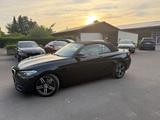 BMW 220i Cabrio Sport Line,Navi,SHZ,PDC,Xenon,USB - : Cabrio, Us