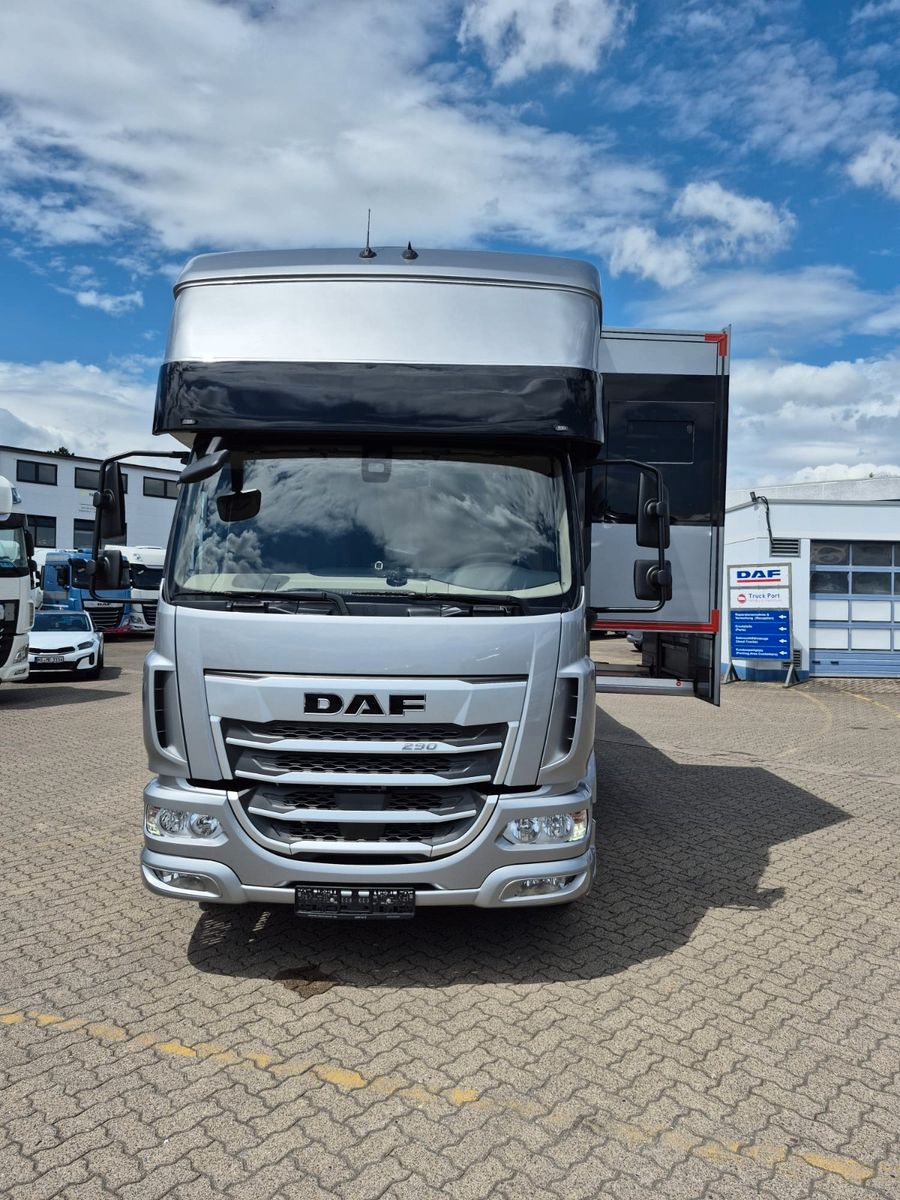 Fahrzeugabbildung DAF XB 290 FA