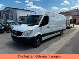 Mercedes-Benz Sprinter II Kasten /313/CDI MAXI-TÜV NEU-WENIGKM - Mercedes-Benz Sprinter: 313 Cdi Maxi