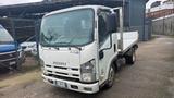 Isuzu N-Evolution L35 L 3.0 TDI RG cass.fisso+iv - Isuzu Gebrauchtwagen von 2014