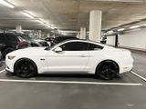 Ford Mustang 5.0 V8 EU-Model, RECARO, BREMBO - Ford B model Gebrauchtwagen