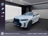 BMW X5 xDrive30d M Sportpaket Gestiksteuerung DAB - BMW X5: Leasing