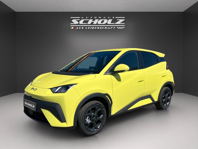 BYD DOLPHIN SURF