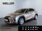 Lexus UX 250h Style Edition *Bi-LED*ACC*Kamera*SHZ*Car - Lexus aus 2023
