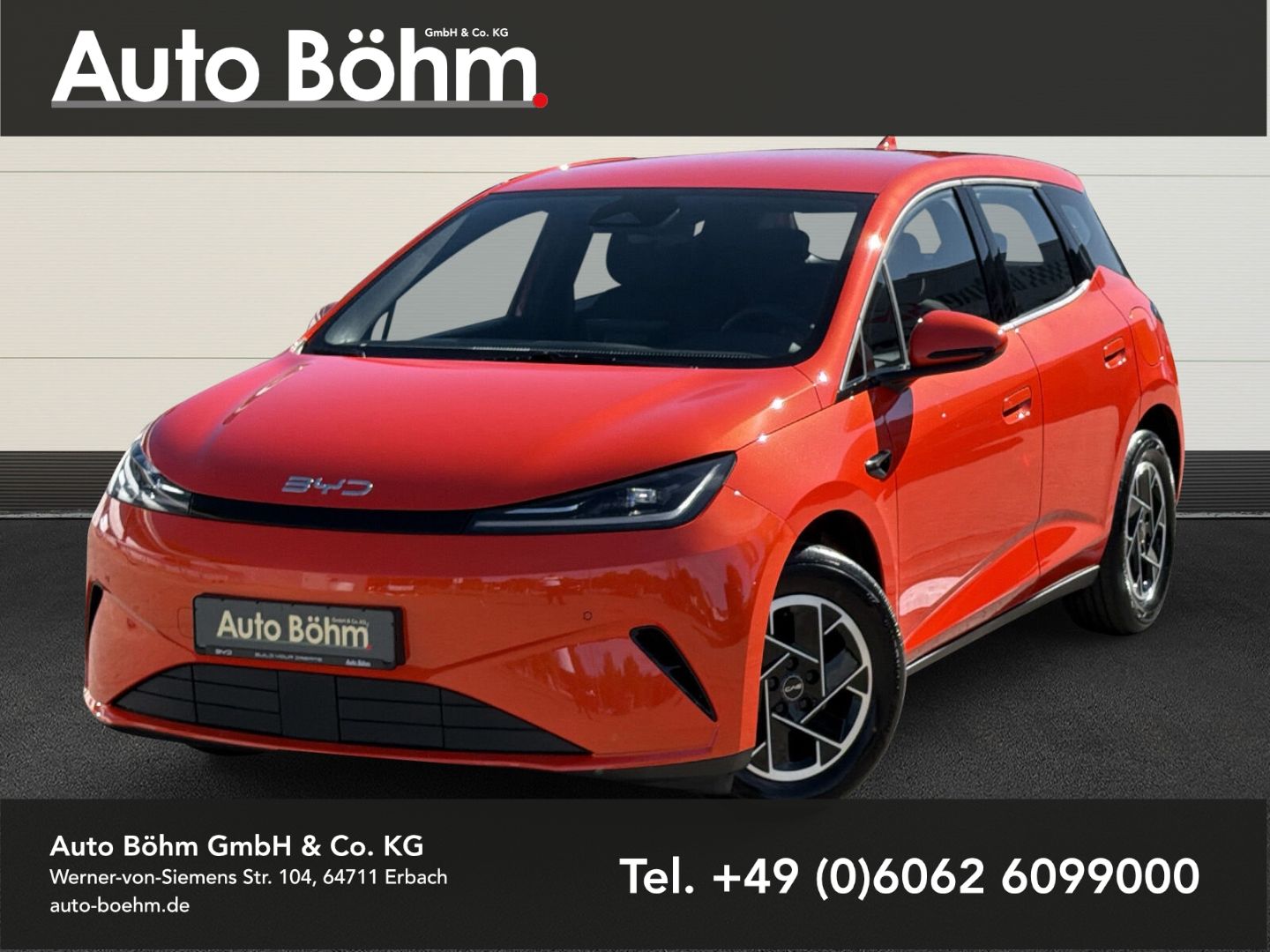 BYD DOLPHIN