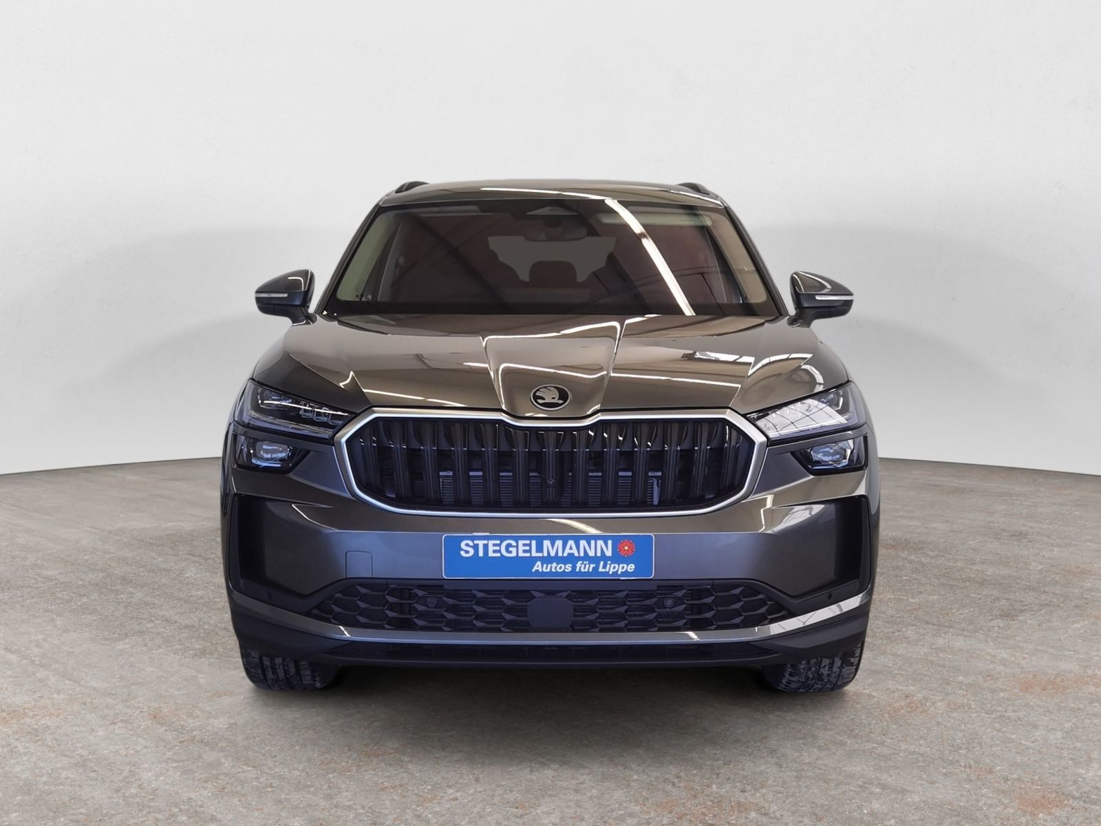 Skoda Kodiaq - Bild 9