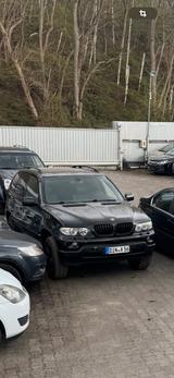 BMW x5 e53 - BMW X5: E53