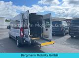 Fiat Ducato Maxi 35 Behindertengerecht el. Lift Lang - Fiat Ducato: 35 Maxi
