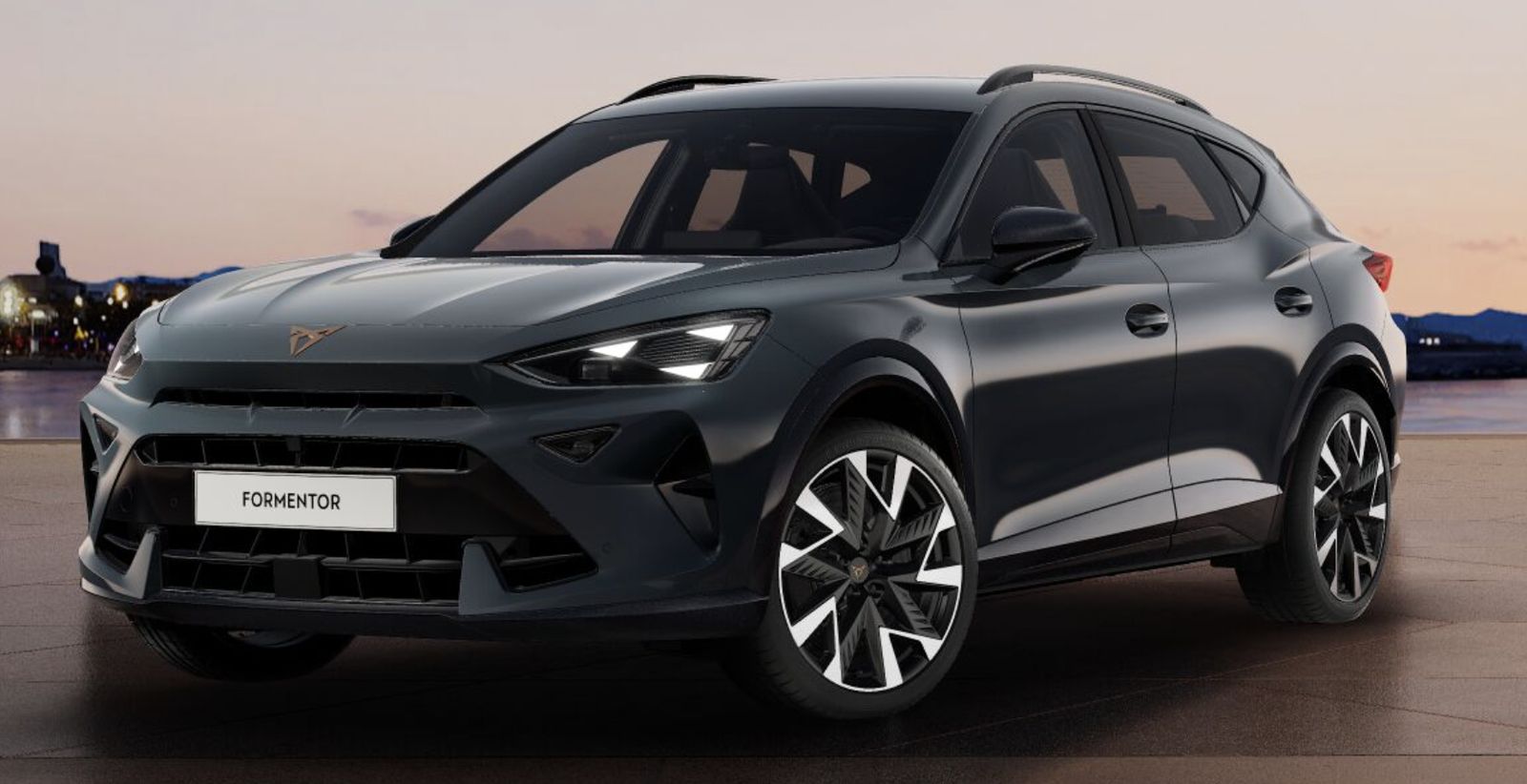 Cupra Formentor 1.5 TSI 110kW - Loyalisierung