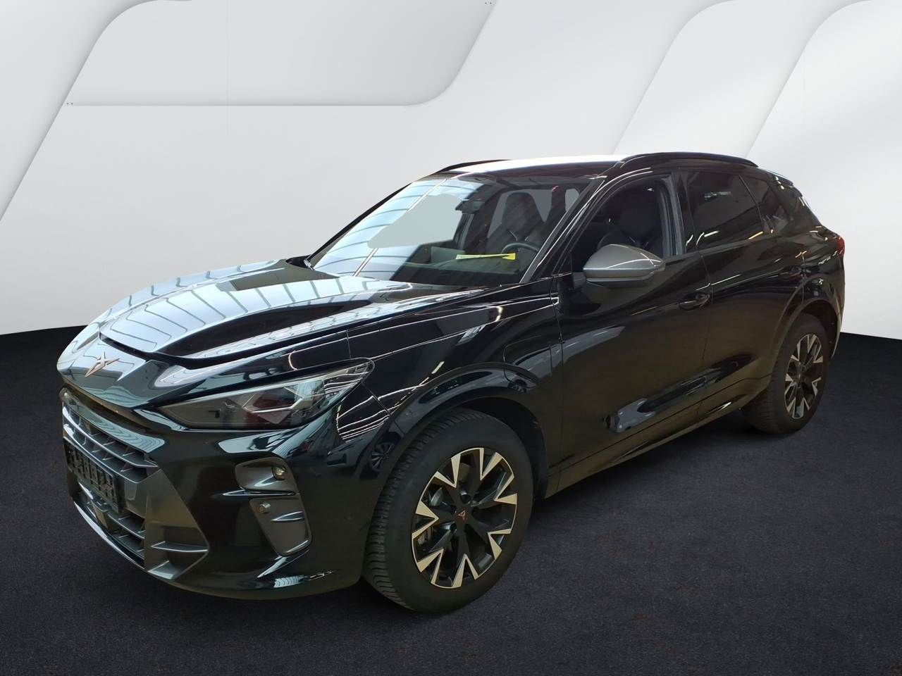 Cupra Terramar - Bild 2