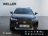Lexus UX 250h Style Edition *Bi-LED*ACC*CAM*SHZ*CarPla - Lexus: Allradantrieb