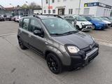 Fiat Panda Trussardi/Top Zustand. - Fiat Panda Gebrauchtwagen in Mannheim