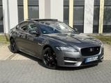 Jaguar XF R-Sport 300PS *ACC*Head-Up*Pano*Totwinkel* - Jaguar: X300
