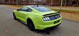 Ford Mustang 5.0 Ti-VCT V8 GT Deutsche Ausführung ! - : Sportwagen, Deutsche