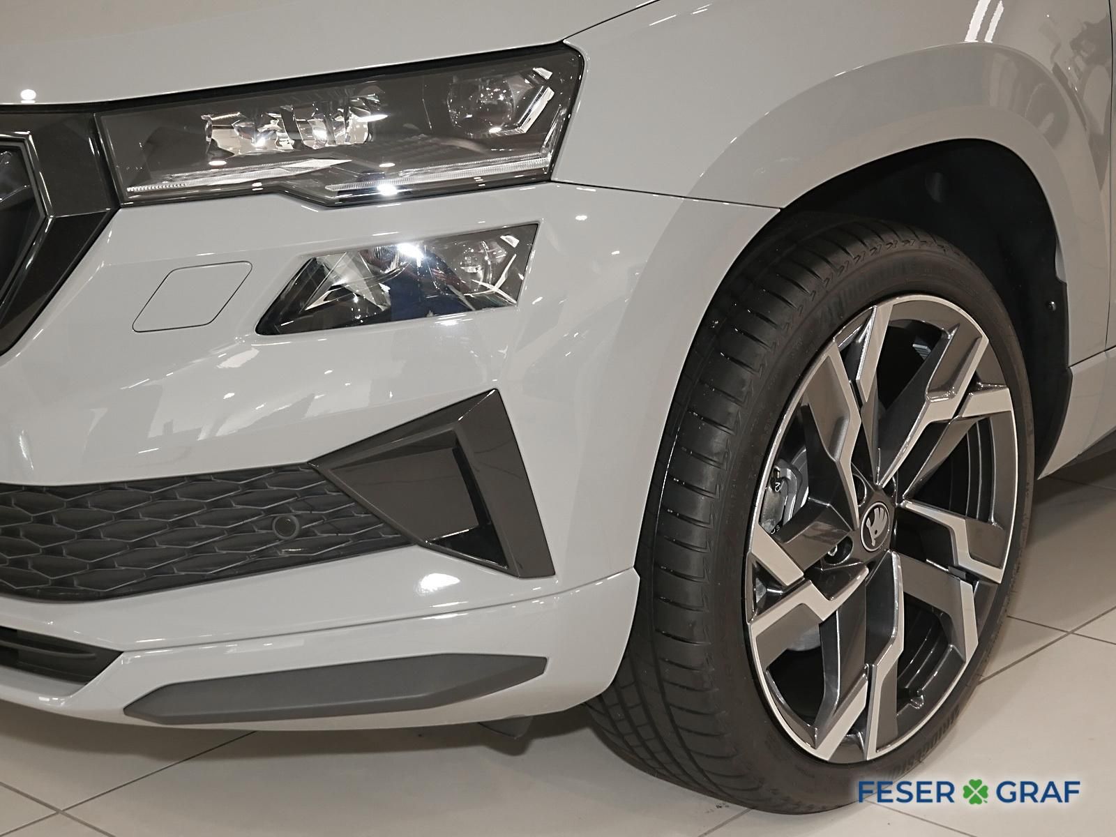Skoda Karoq - Bild 12