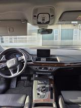Audi Q5 TDI quattro, S-line Black Edition, Leder, AHK - Audi Q5 Black Edition Gebrauchtwagen