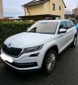 Skoda Kodiaq - Skoda Kodiaq Kombi Gebrauchtwagen
