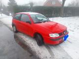Seat Ibiza 1.4 16V Freeze Freeze - Seat Ibiza aus 2000: 1.4
