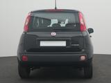 Fiat Panda Pandina 1.0 GSE Hybrid Icon - Fiat Panda Neuwagen: Allradantrieb