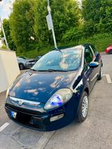 Fiat Punto EVO 1.2 EURO5 KLIMA,NAVI,PDC, CarPlay - Fiat Punto Evo in Stuttgart