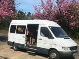 Mercedes-Benz 208D Sprinter - Mercedes-Benz 1996