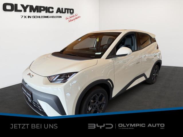 BYD Dolphin Surf Boost 43kWh KAMERA CARPLAY NAVI ALU