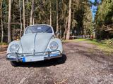 Volkswagen Käfer 1965 guter Zustand inkl.Tüv H-Zulassung - Volkswagen aus 1965