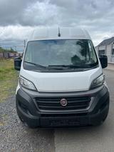 Fiat Ducato - Fiat Ducato in Wiesbaden