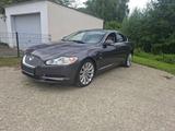 Jaguar XF 3.0 V6 Premium Luxury - gebrauchte Jaguar XF aus dem Jahr 2008