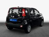 Fiat Panda 1.0 GSE Hybrid 51 kW, 5-türig - Fiat Panda: 5.5