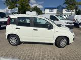 Fiat Panda MY25 1.0 70PS Eurostar Klima PDC - Fiat Panda in Leipzig