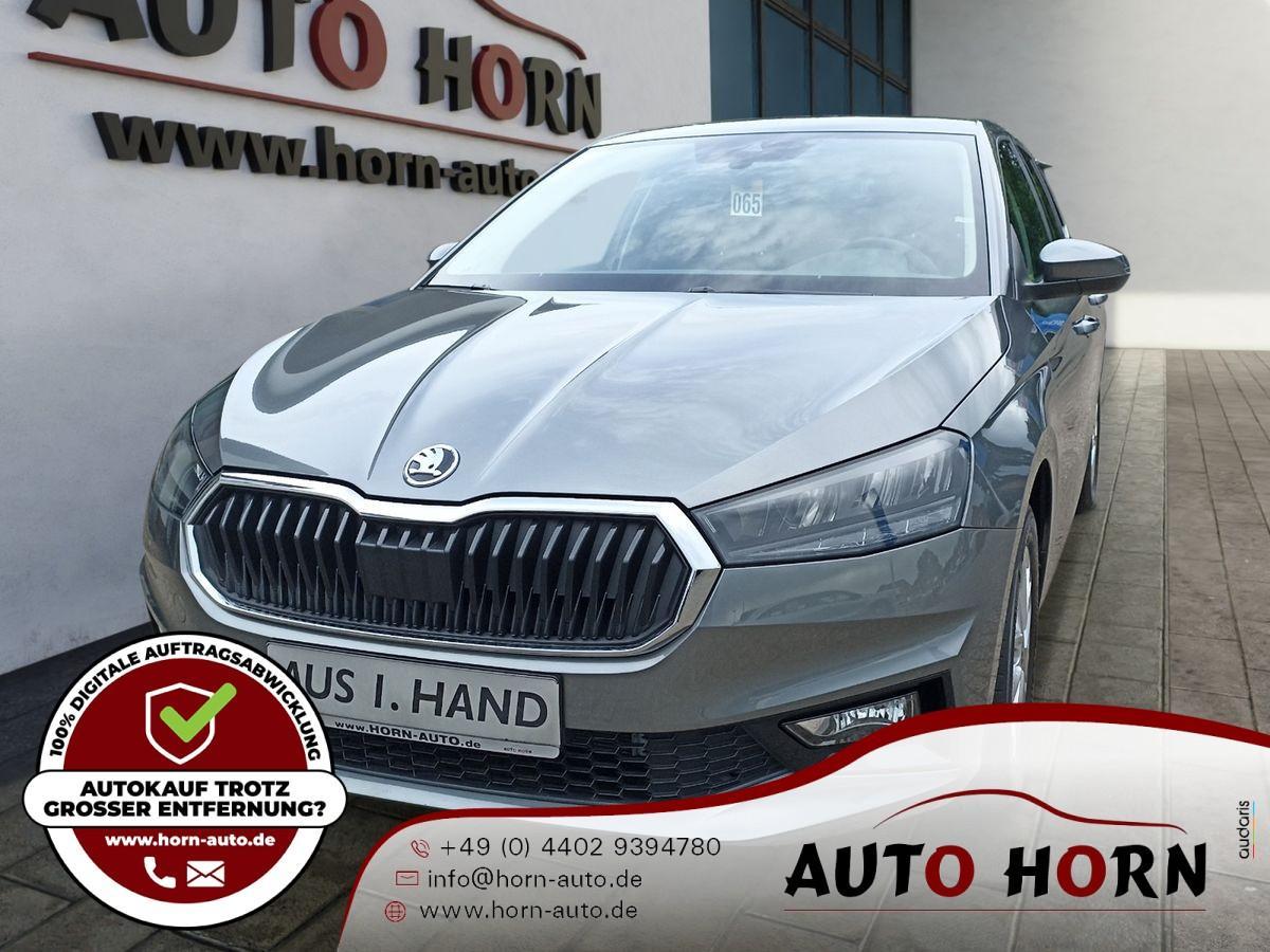 Skoda Fabia 1.0 TSI*Klima*Smartlink*LED*Alu*Einpark*AP