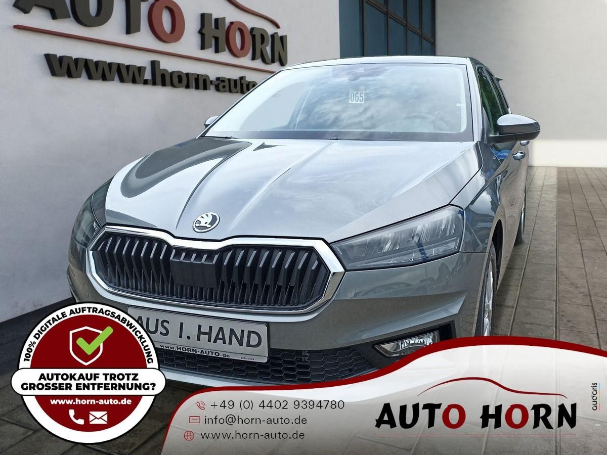 Skoda Fabia 1.0 TSI*Klima*Smartlink*LED*Alu*Einpark*AP