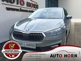 Skoda Fabia 1.0 TSI*Klima*Smartlink*LED*Alu*Einpark*AP