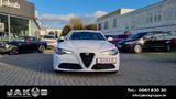 Alfa Romeo Giulia Super +LED+Navi+BTH+Bi-Xenon 132 kW (1... - Alfa Romeo: Weiß