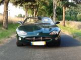 Jaguar XK8 Cabriolet - - Jaguar XK8: Cabrio