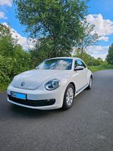 Volkswagen new Beetle style 1.2 TSI - Volkswagen New Beetle: Sportwagen