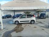 Fiat PANDA 1.3 DISEL C.V 95 NORD ITALIA 1 PROPR QUAL  - Fiat: Italia