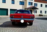 Ford Mustang 1965 - Top , Tüv Neu  - Rostfrei - Ford Gebrauchtwagen von 1965